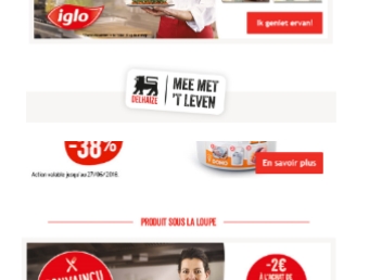eCRM - Insert Delhaize Newsletter Iglo