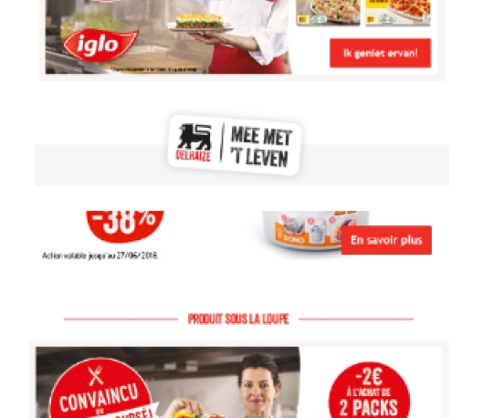 eCRM - Insert Delhaize Newsletter Iglo